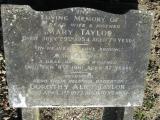 image of grave number 384931